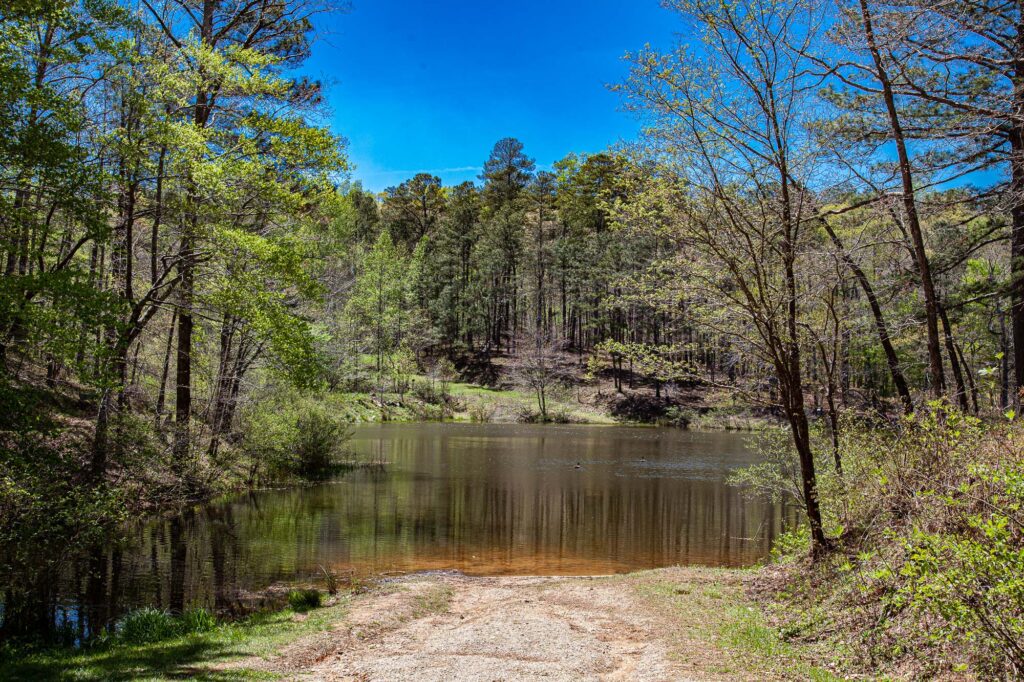 Coleman Lake Bike Ride